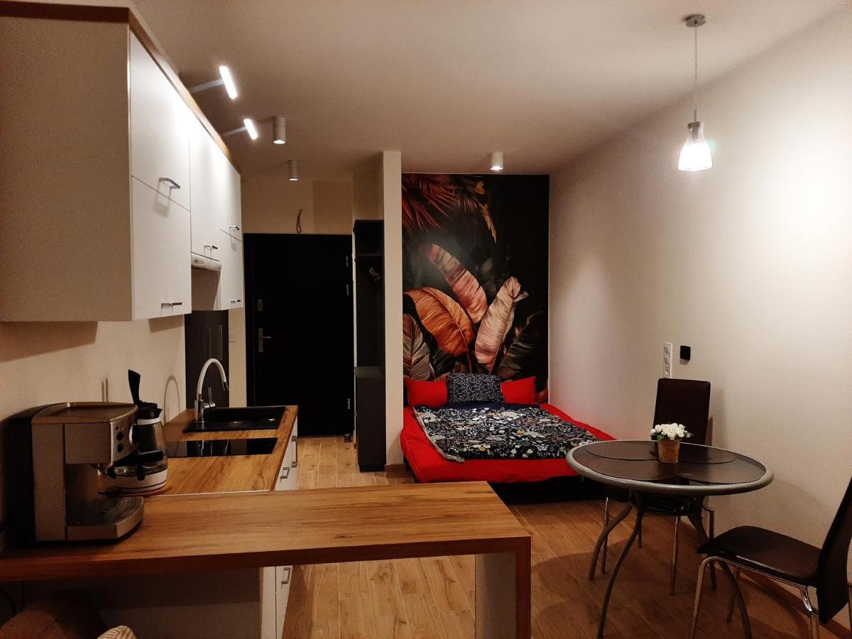 Apartament Pod Szyndzielnia, Debowiec Bielsko-Biała Kültér fotó