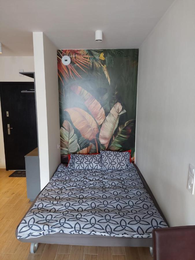 Apartament Pod Szyndzielnia, Debowiec Bielsko-Biała Kültér fotó